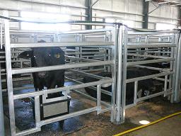 Large Animal Hplding Facility - Cattle