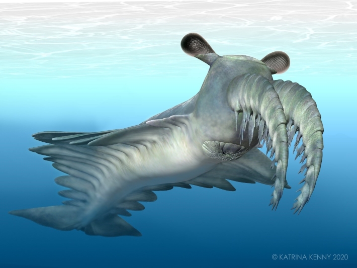 Incredible vision in ancient marine creatures drove an evolutionary