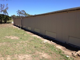Outside view of Poultry Shed