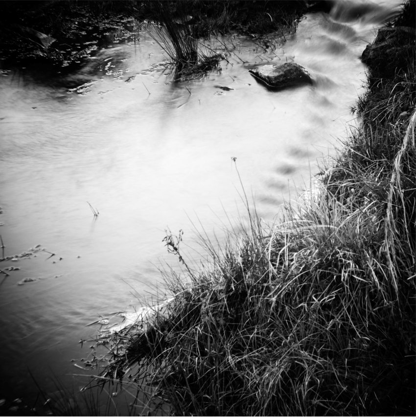 Monotone close-up of a milky looking creek surrounded by thick long grass