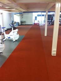 Excercise & Sport Science Area at Sport UNE