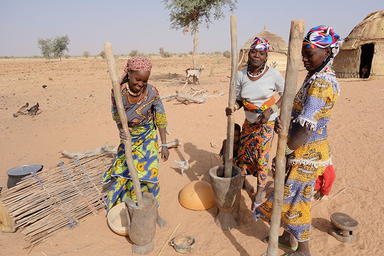 Millet Ladies Dosso Region February 2016 